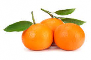 CLEMENTINE MANDARINI