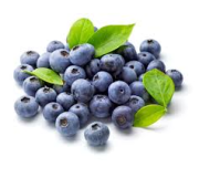 MIRTILLI BIO 200G