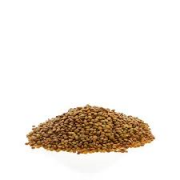 LENTICCHIE LUCCHESI SFUSE