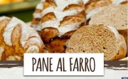 PANE AL FARRO 500g ca - PANIFICIO GRAZIOLI