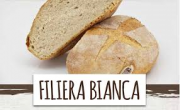 PANE FILIERA BIANCA 500 - PANIFICIO GRAZIOLI