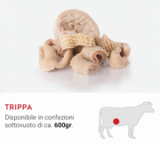 TRIPPA PIEMONTESE