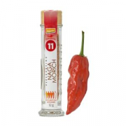 NAGA MORICH POLVERE N.11 - BIO - PEPERITA