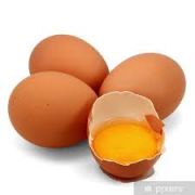 CONF 4 UOVA BIO - FATTORIA PARADELLO