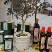 CONDIMENTO ARANCIA OLIO EVO BIO 0.25L - PELTRISTO