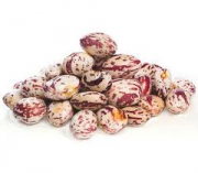 FAGIOLI BORLOTTI  BONGIOVANNI