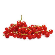 RIBES ROSSO 150G