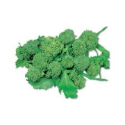 CIME DI RAPA