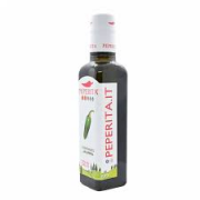 CONDIMENTO PICCANTE JALAPENO VERDE 25cl - PEPERITA