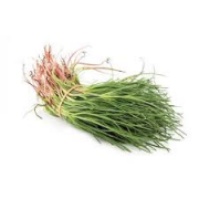 AGRETTI MAZZETTO 150CA