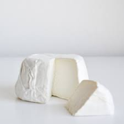 CAPRELLA BARONCHELLI 240G